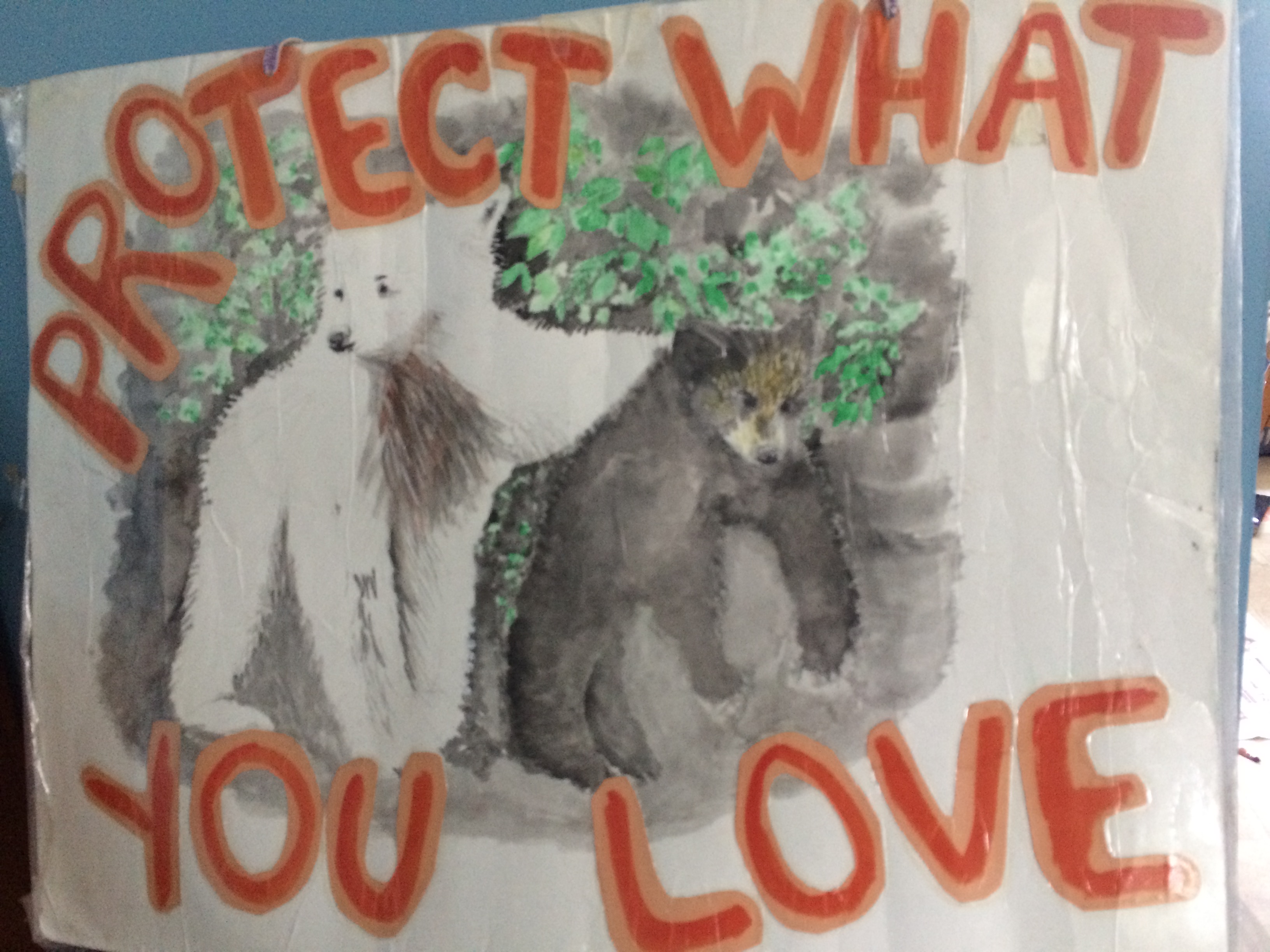 Nov. 6 (post-election) reflection